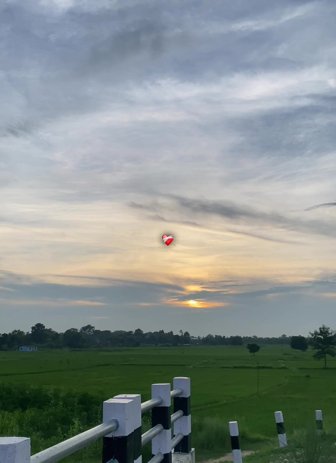 @रमेश शाही ठकुरी