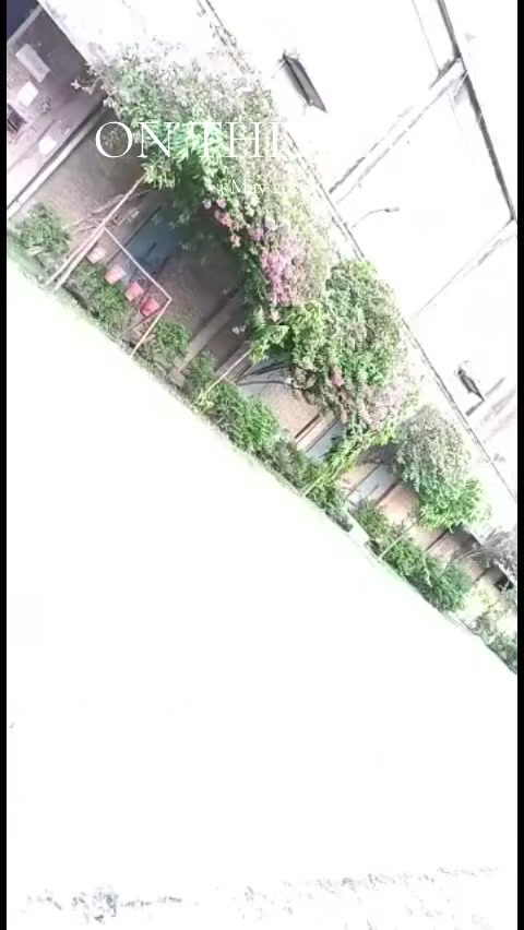 @Gundey