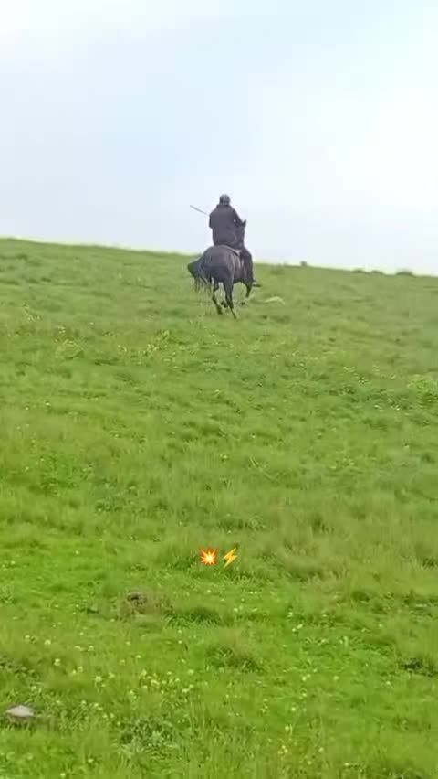 @Վաչե Գևորգյան
