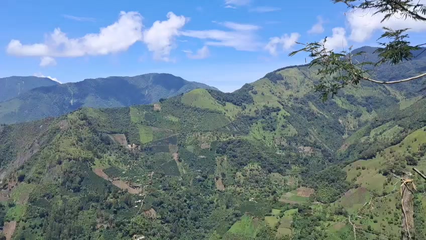 @ruñido