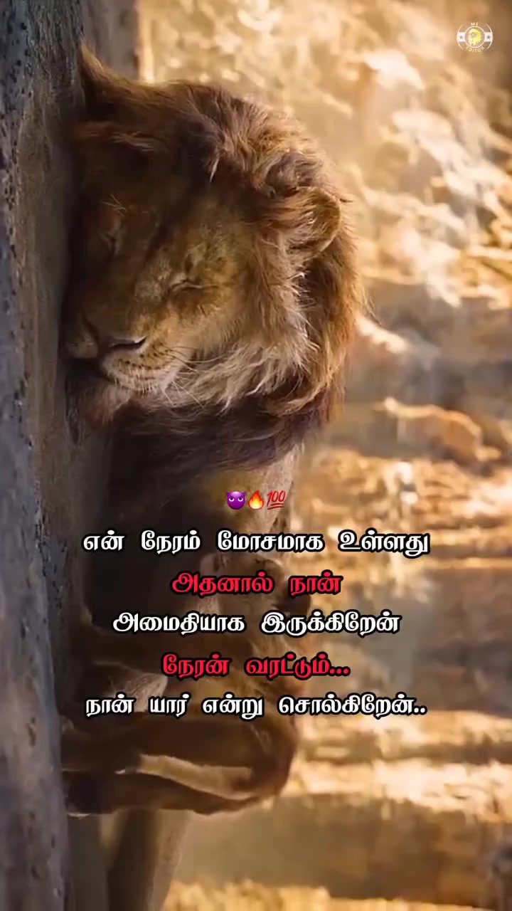 @prasanth baby 🗡🇱🇰