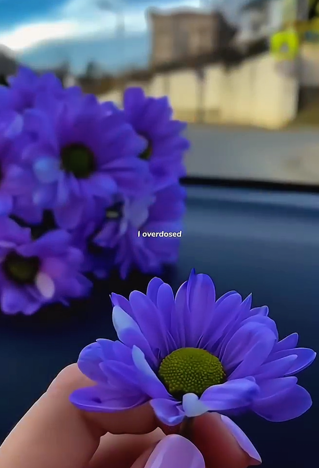 @Sadlyricm