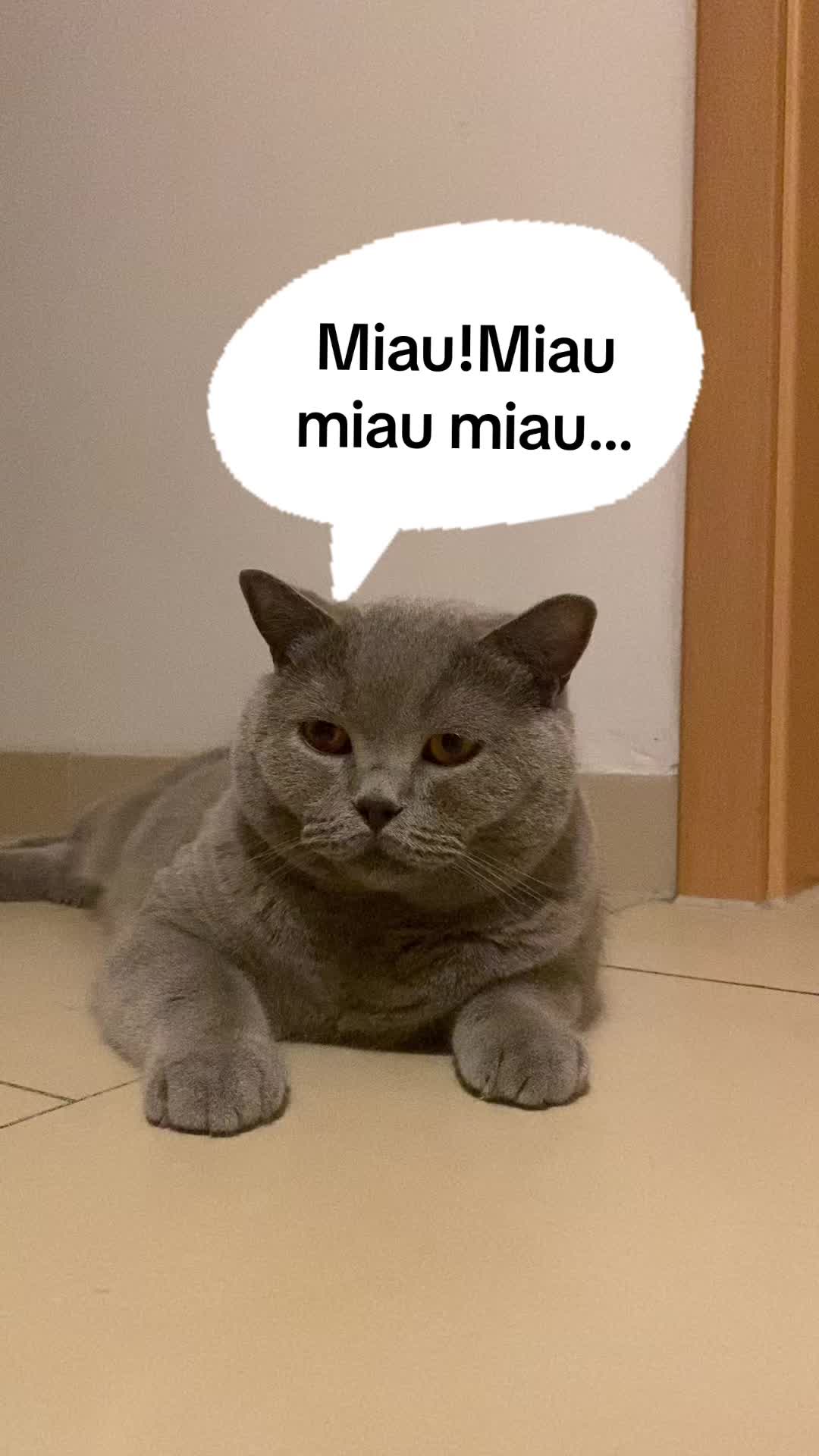 @😸