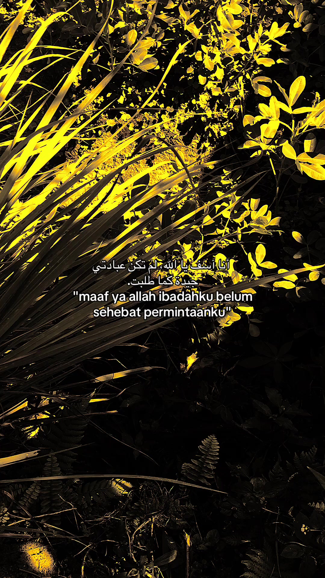 @﷽