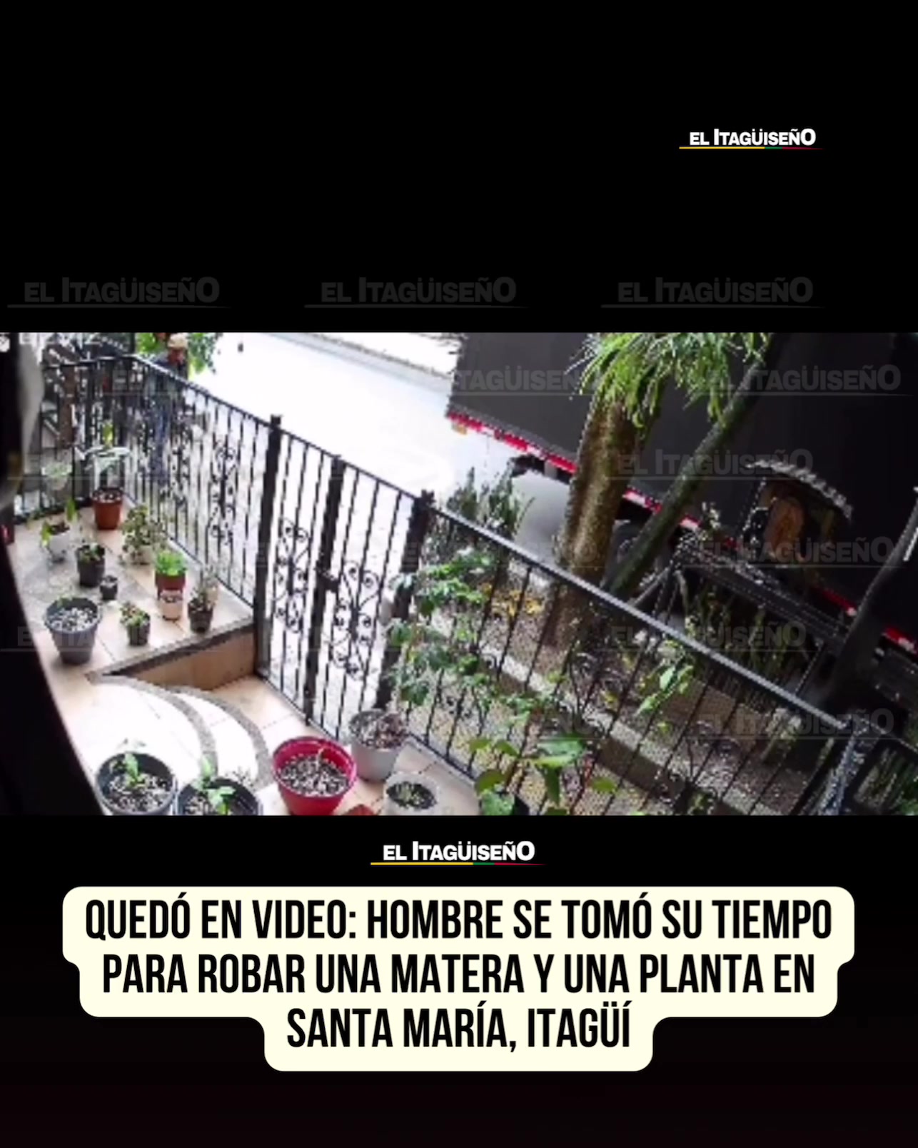 @El Itag&uuml;ise&ntilde;o
