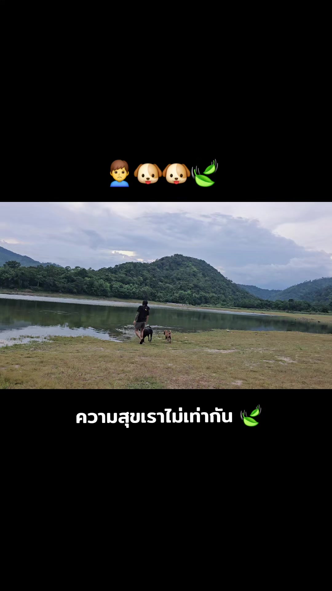 @อาร์ม วุฒิกร