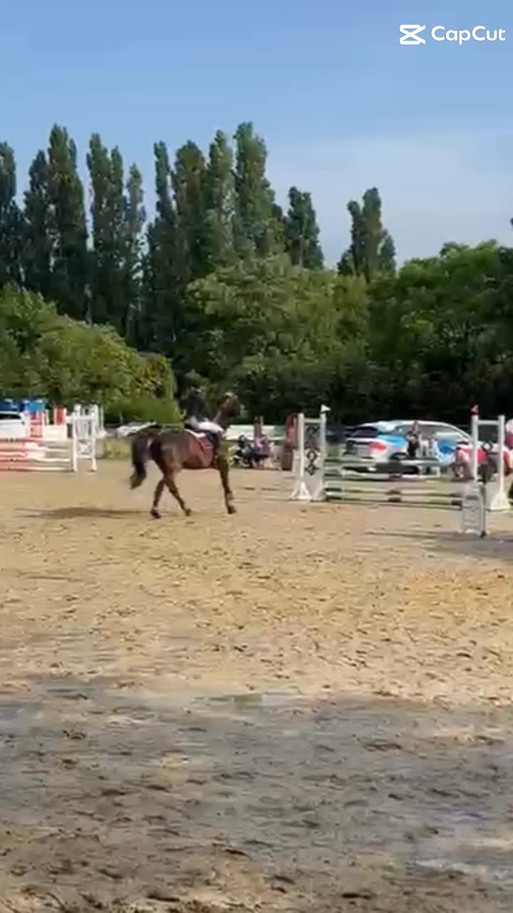 @🫶🏻❤️