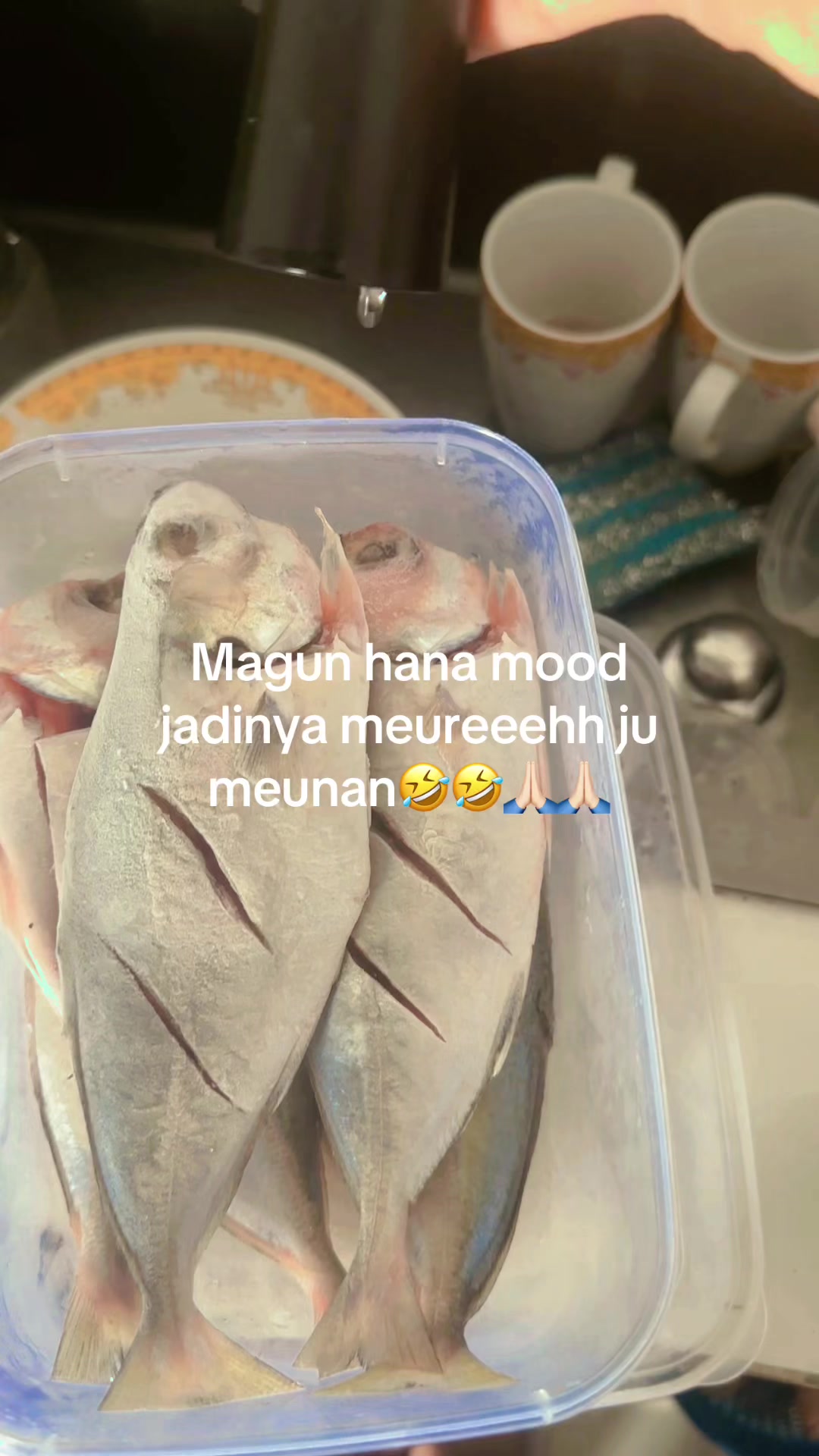 @Safiradunk🤍