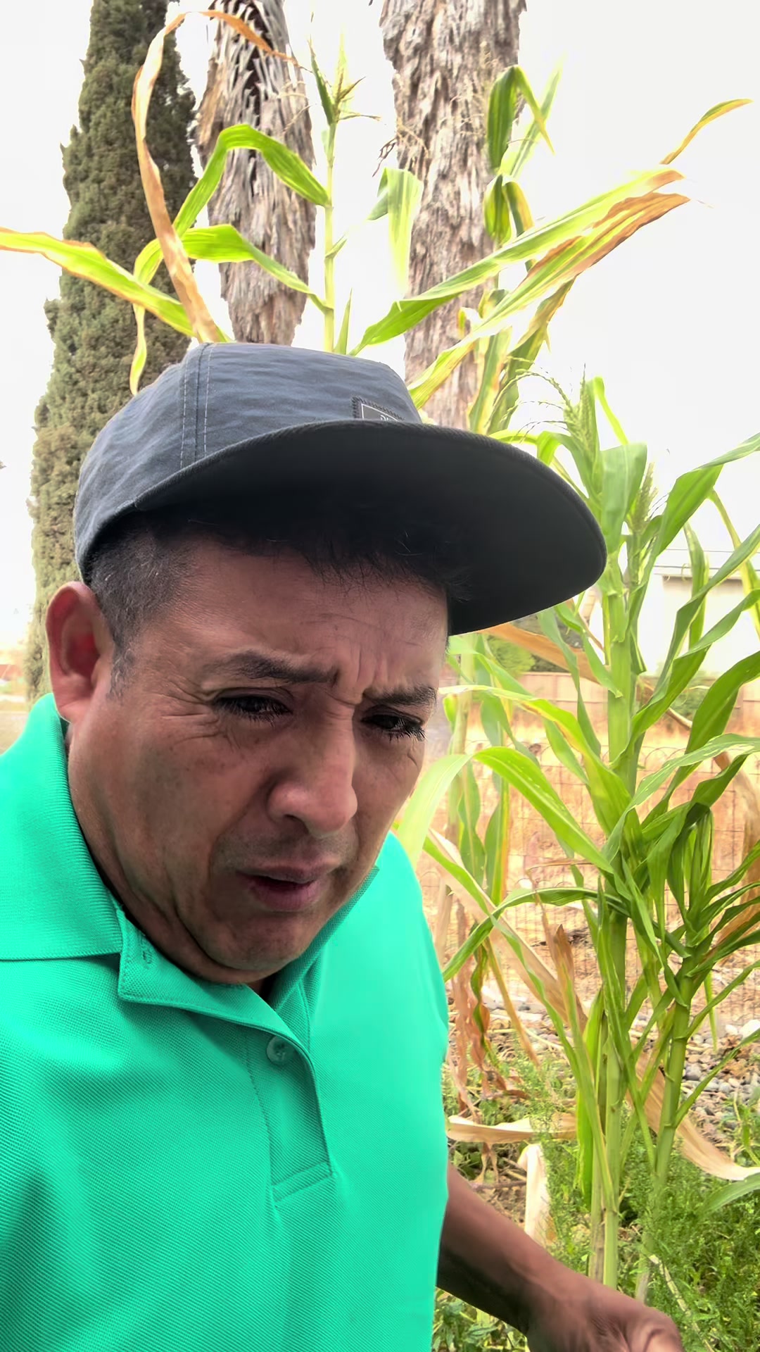 @🎤chiquilin Martínez Vlog🍇