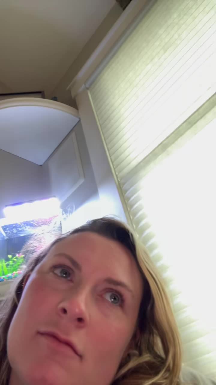 @i blame tiktok