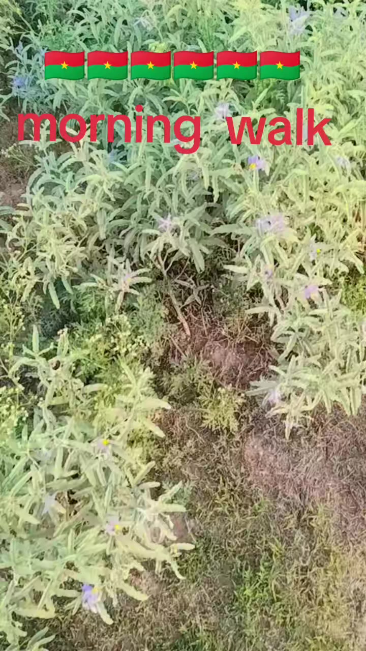 @# قیدی نمبر804#