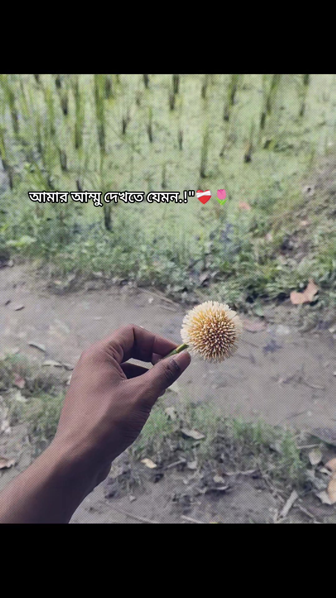 @ভবিষ্যত অন্ধকার🌚
