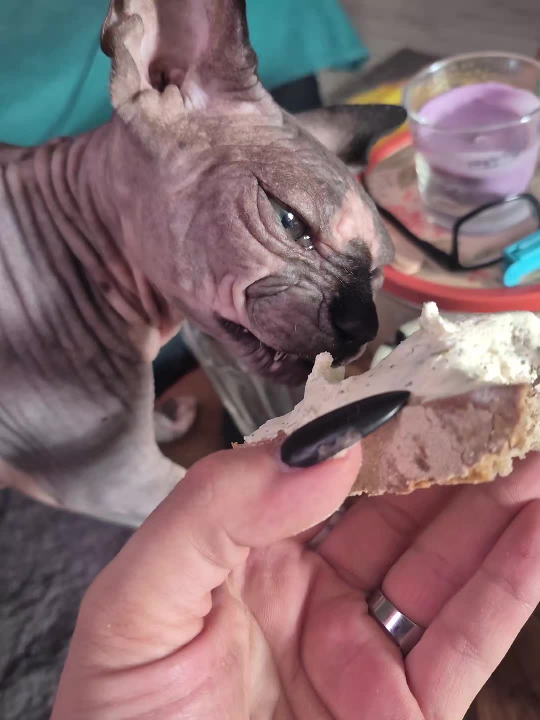 @👑Punscharella👑/ Janine