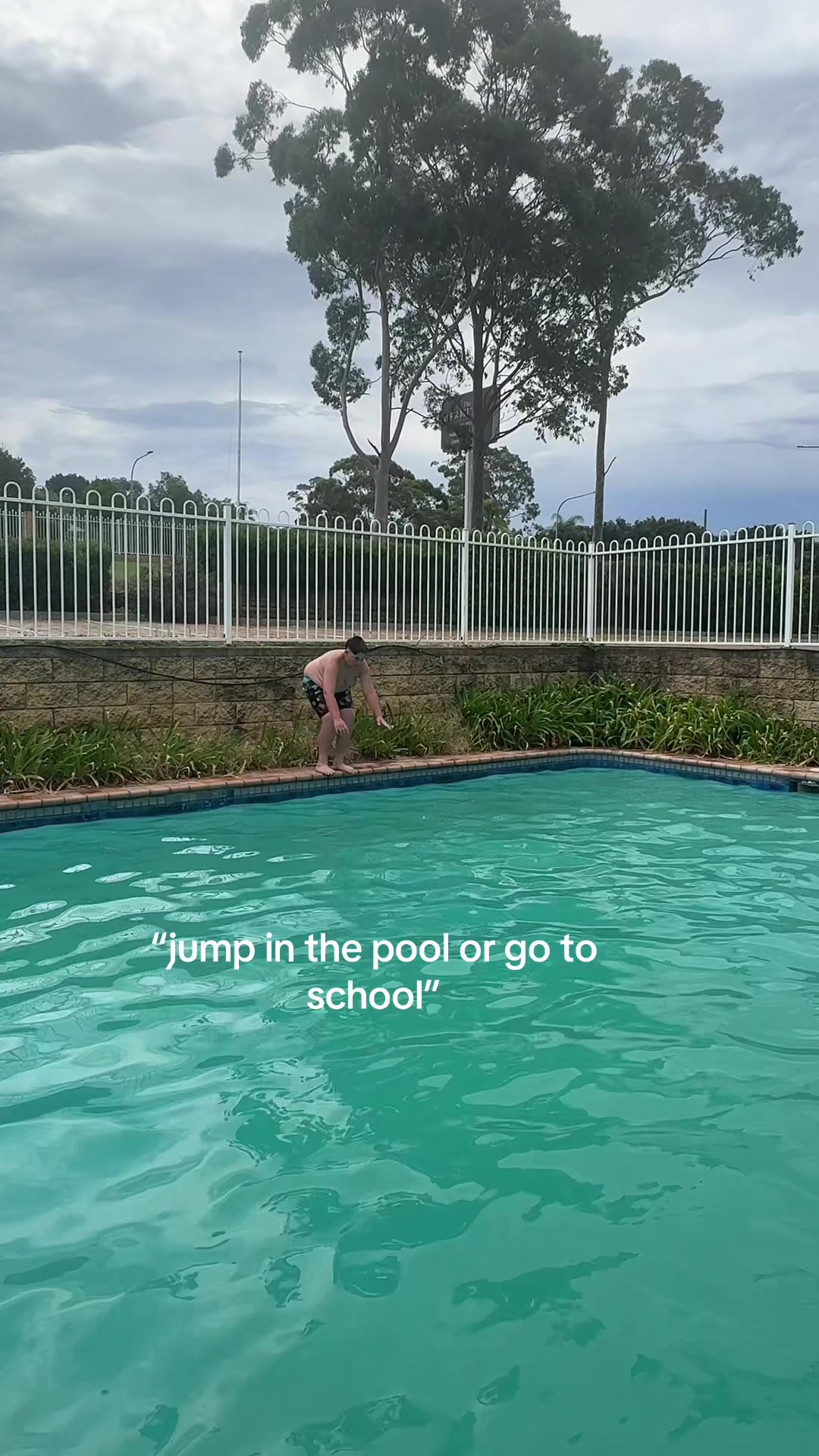 @immy🪷