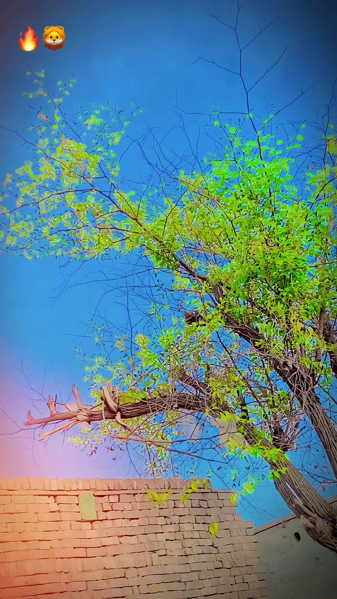 @𝐒.اِ.𝐤.𝐀.ن.𝐃.اَ.𝐑