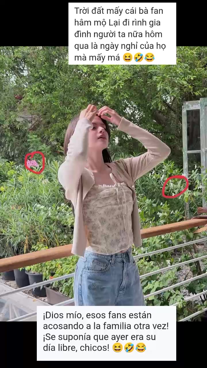 @dm_fb