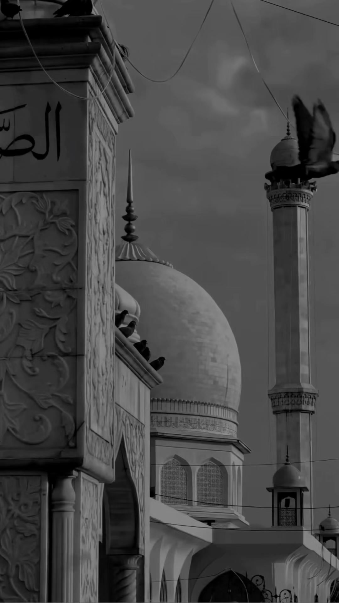 @طريق الجنه