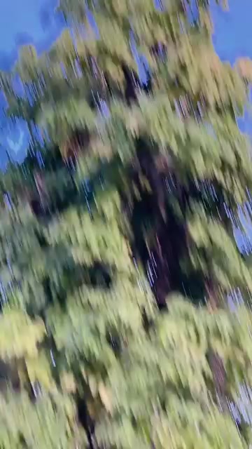 @xxxc