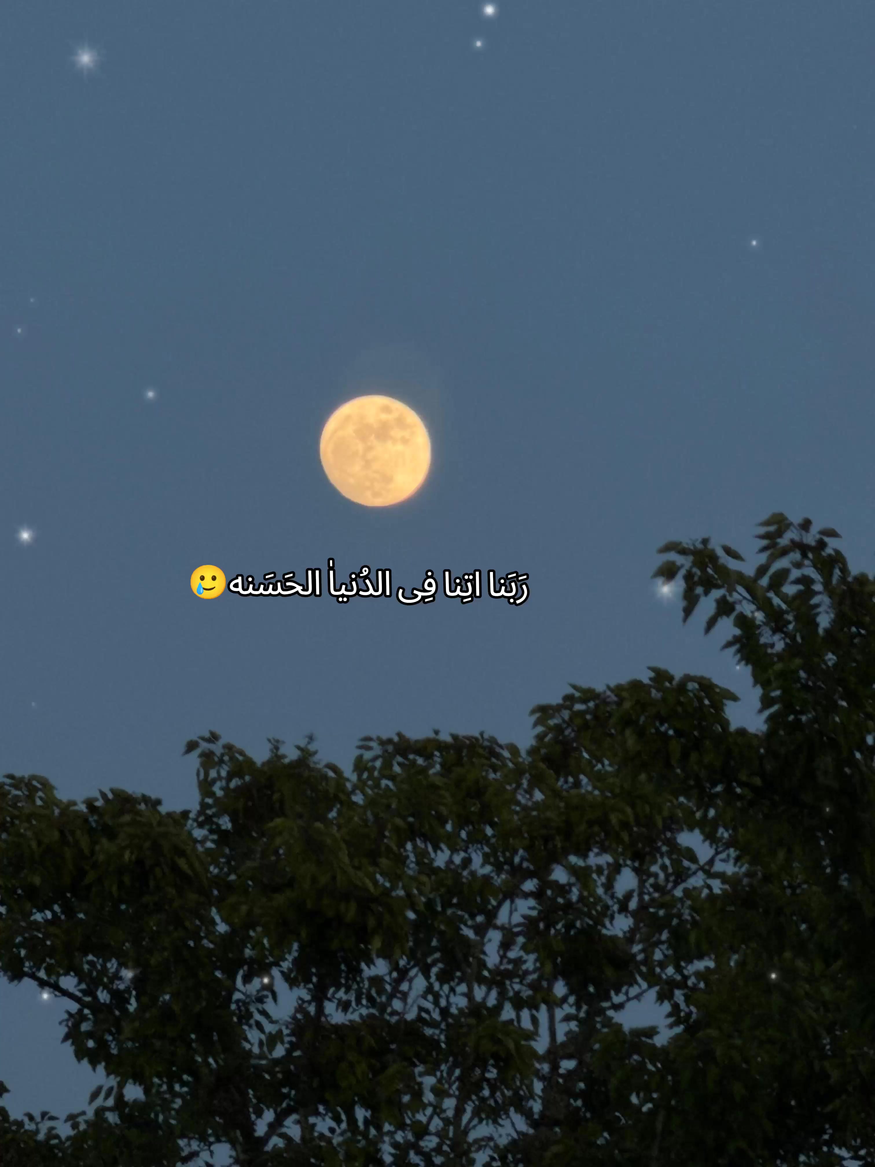 @💠گـل همیشه بـهار💠