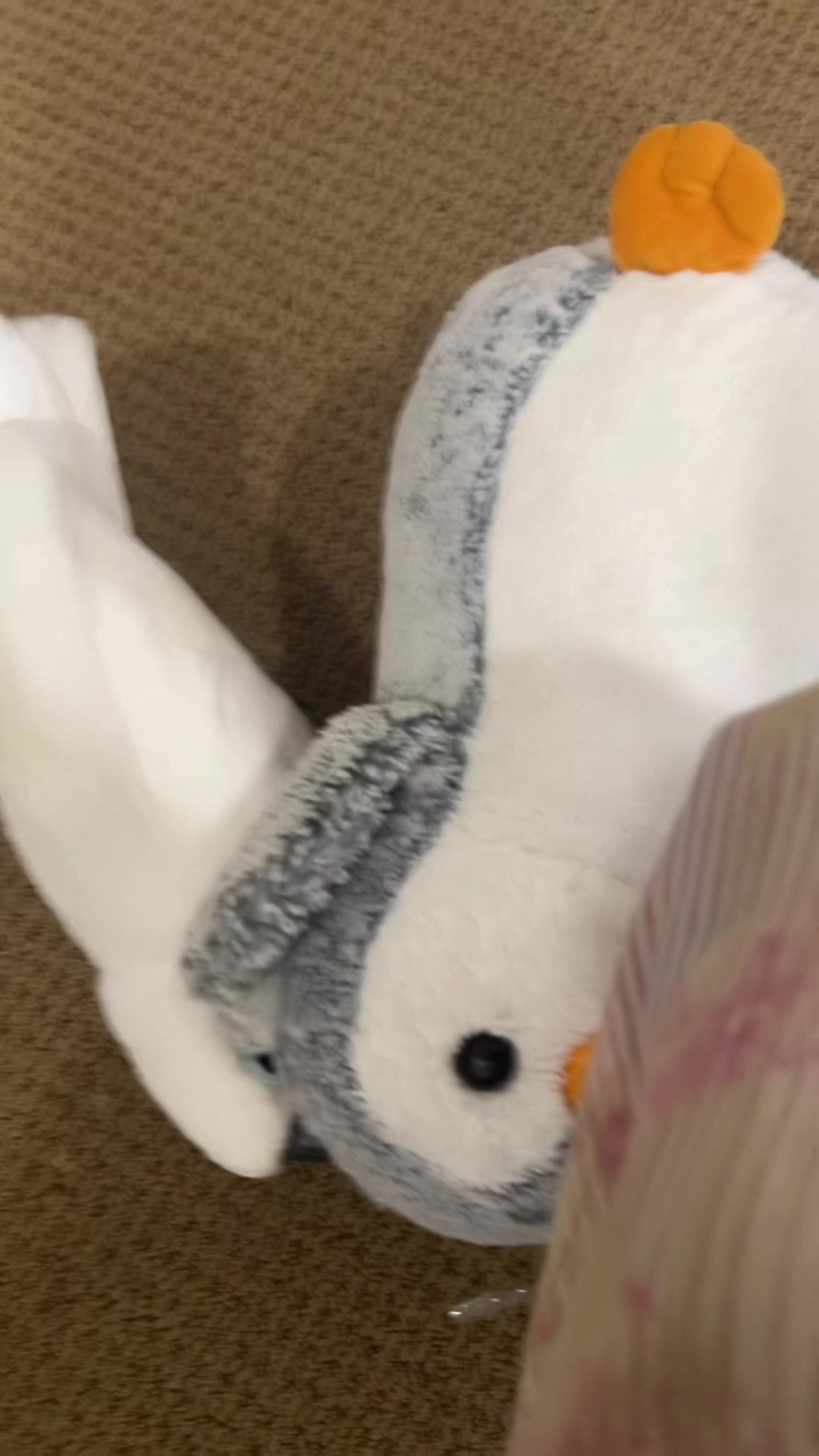 @OLAF