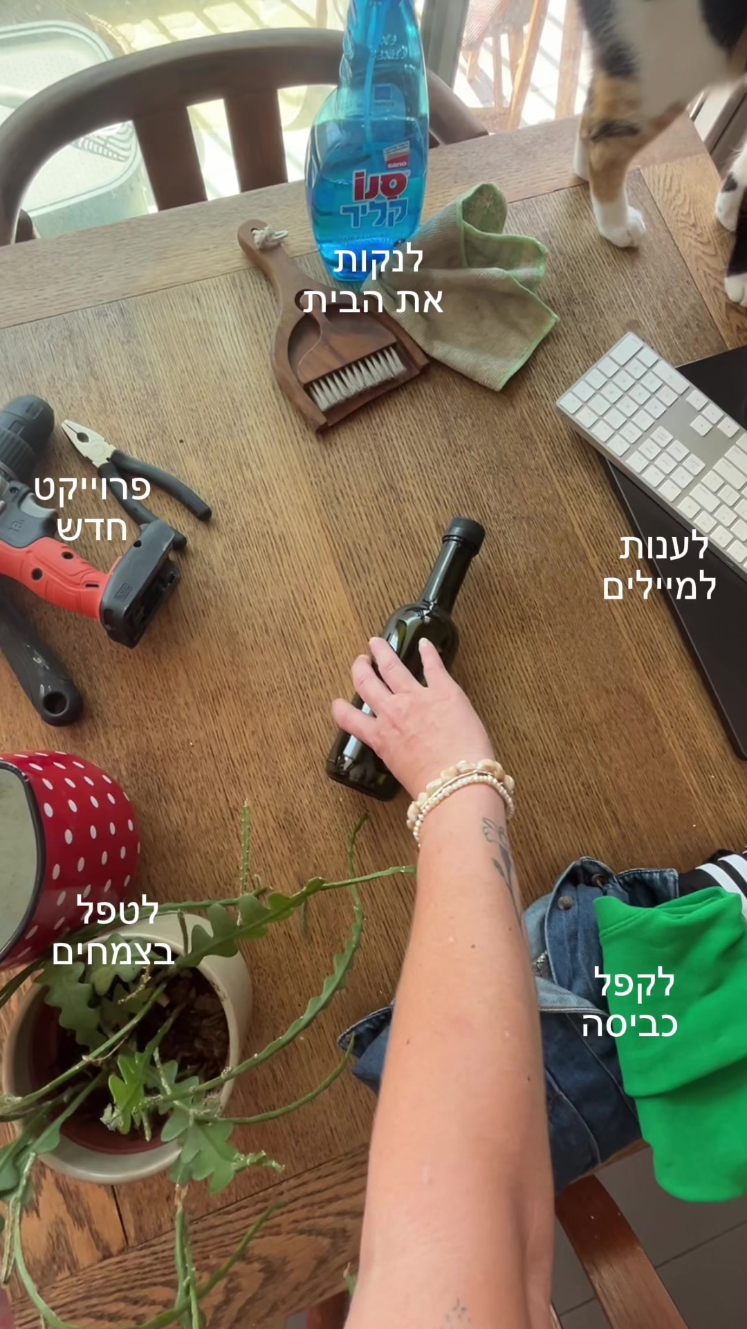 @מירב מלכת הזבל והעציצים