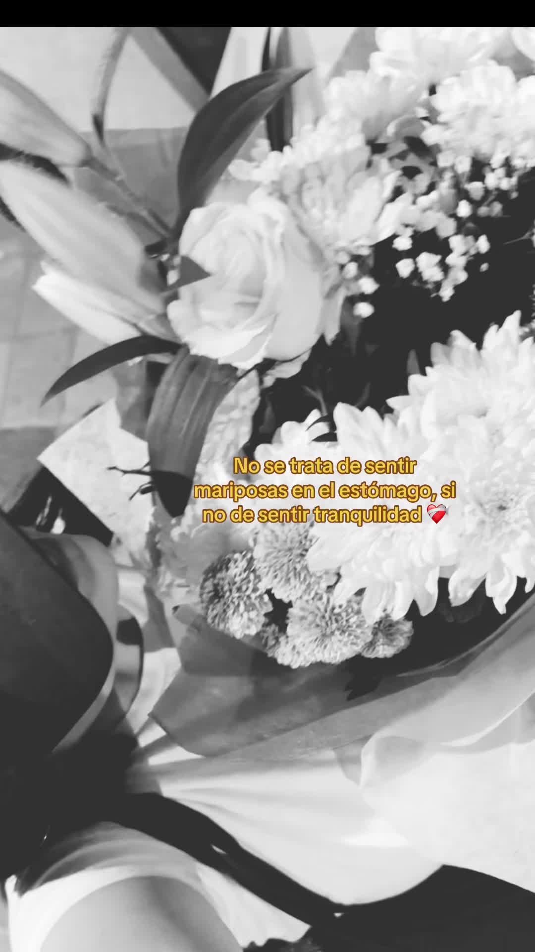 @Johe🍃🤠