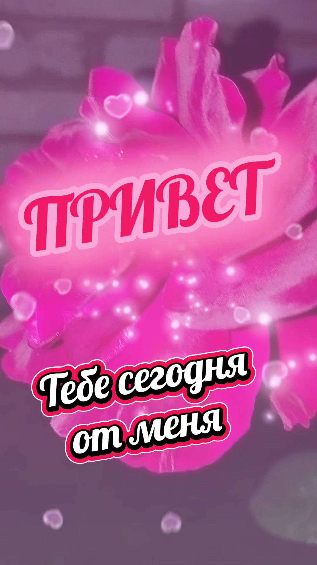 @𝗩𝙄𝗣ܓՈ০ℨuτuᗷԿuk-◥᭄