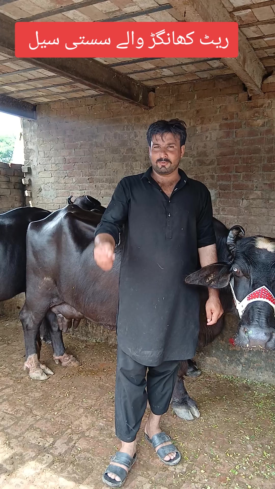 @Farming and Business Ideas