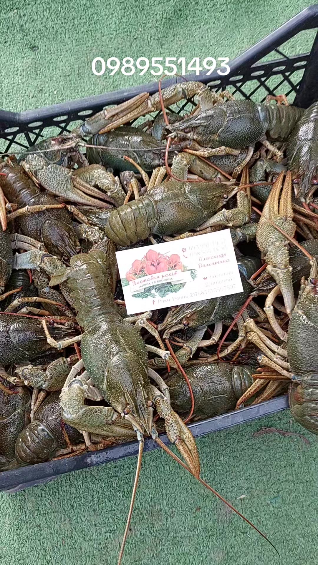 @Раки Умань
