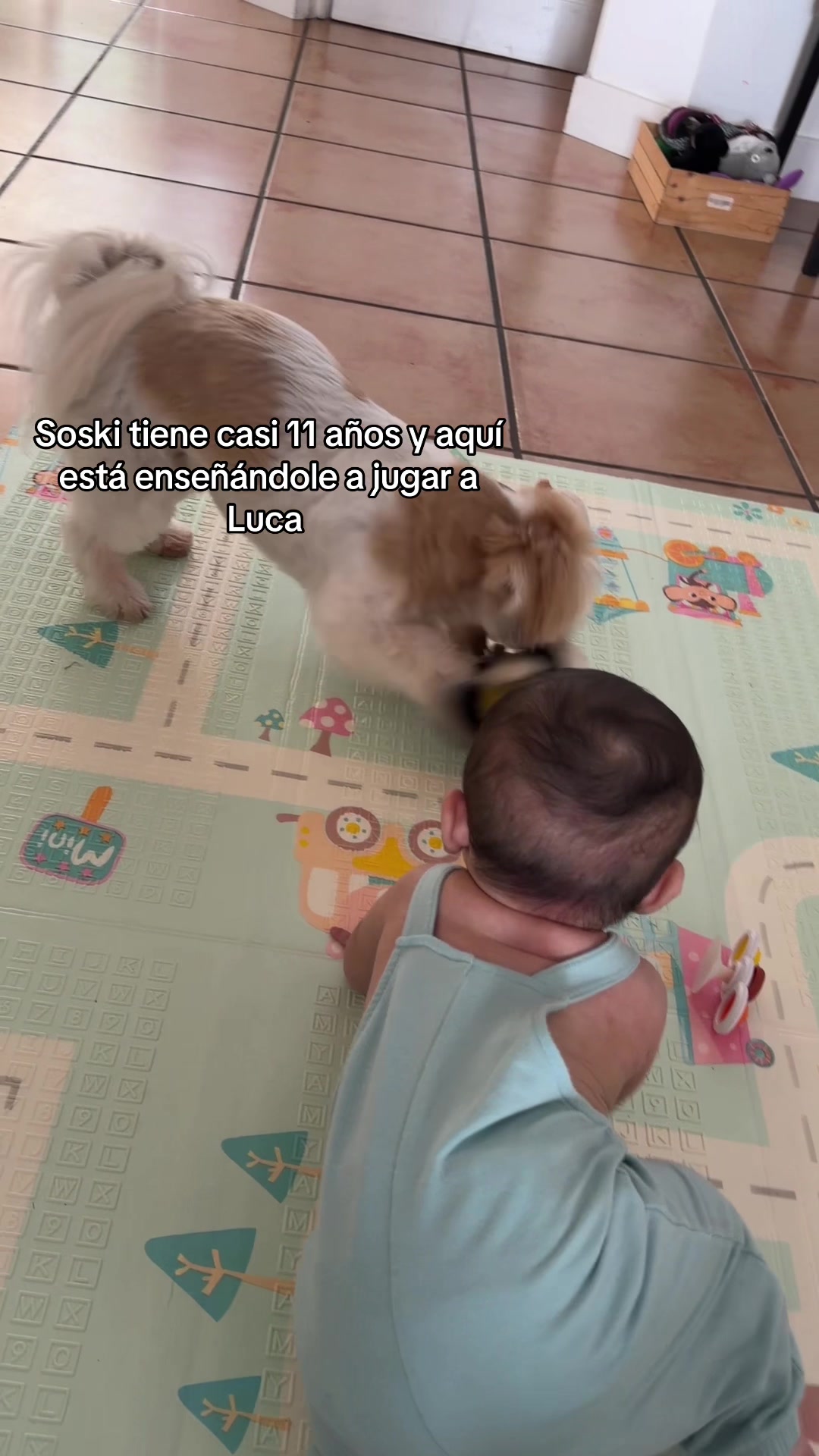 @Monica Barboza Chinchilla