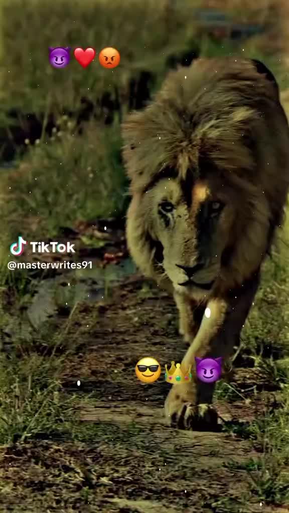 @saqib Khan