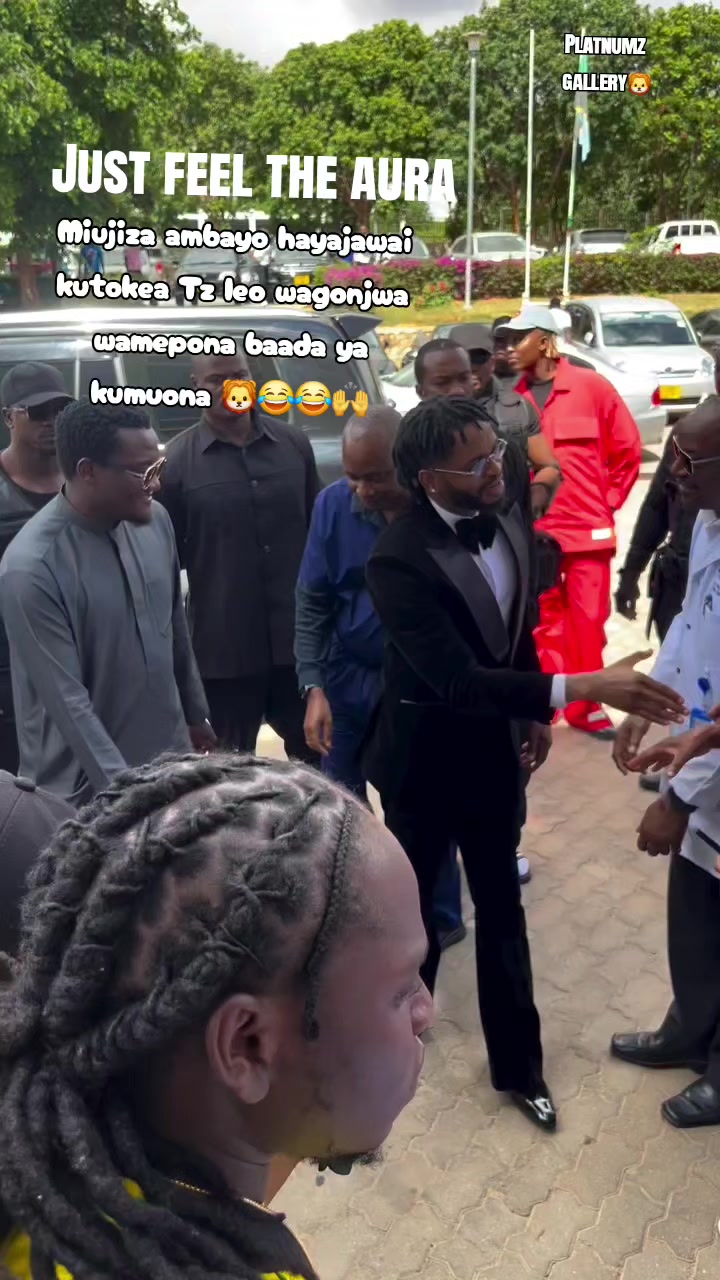 @Platnumz Gallery🦁