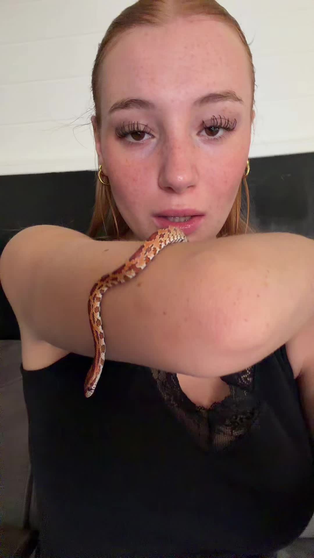@Lulu