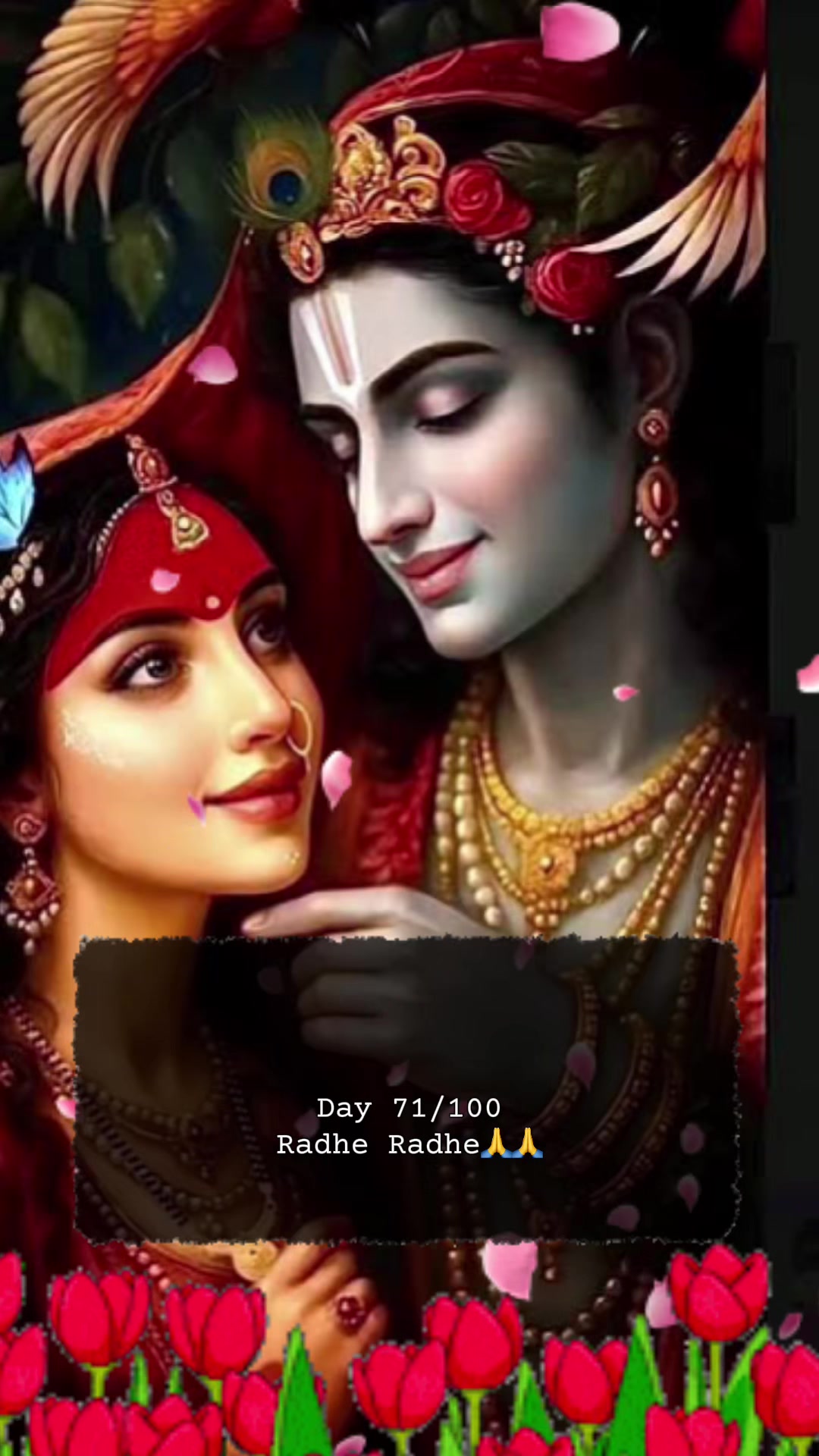 @RadheKrishna🦚🦚🙏🙏