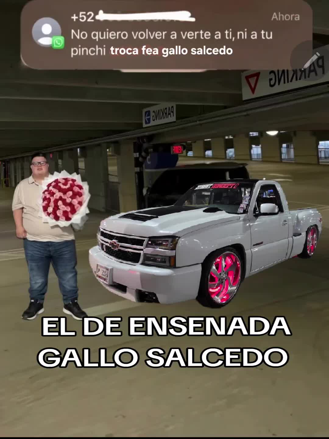 @EL Gallo Salcedo🇲🇽