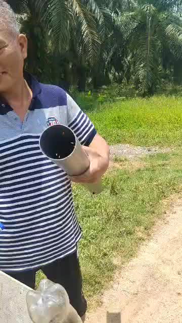 @M16
