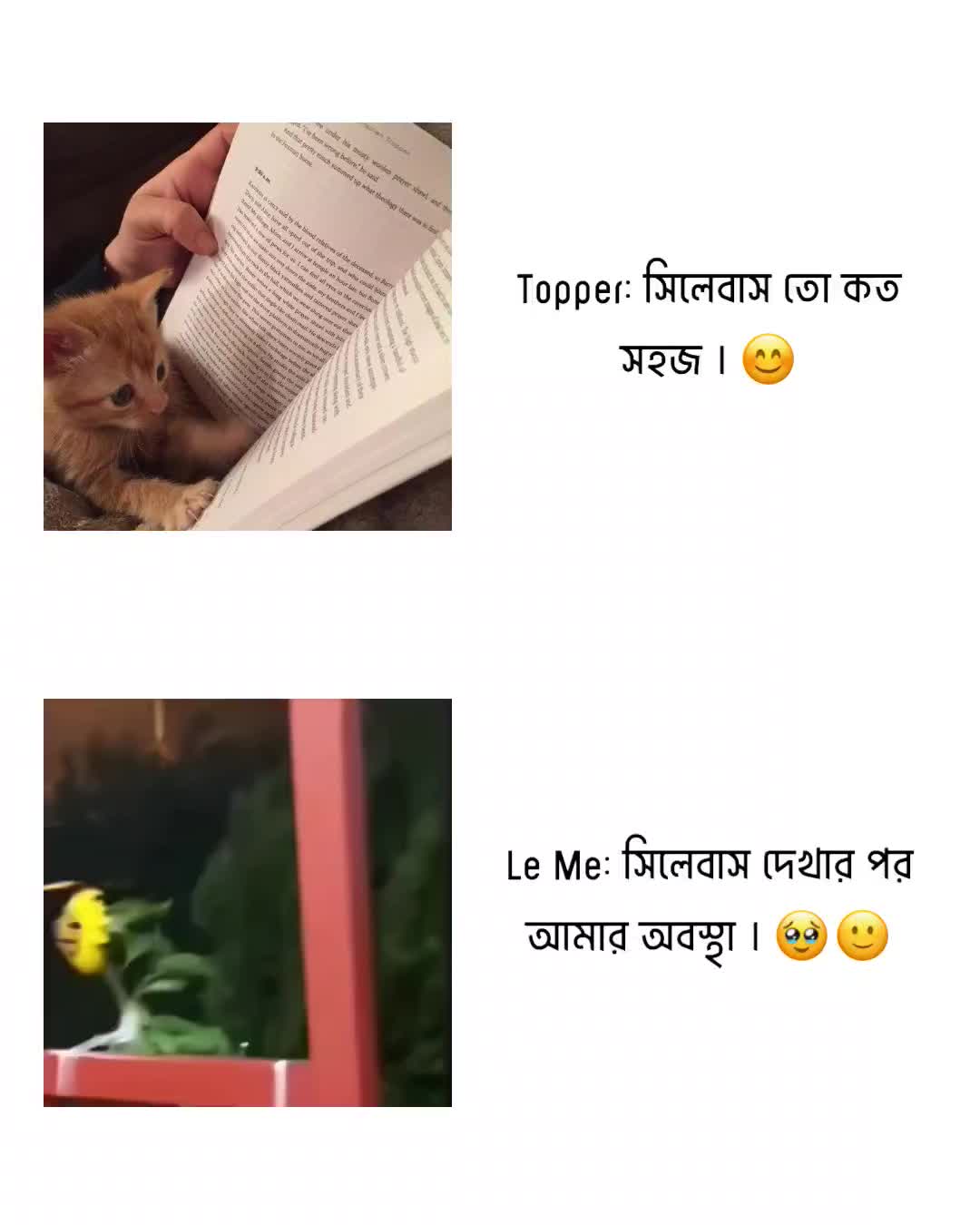 @&mdash;͞ʙᴏsᴏꪀ  !&iexcl;