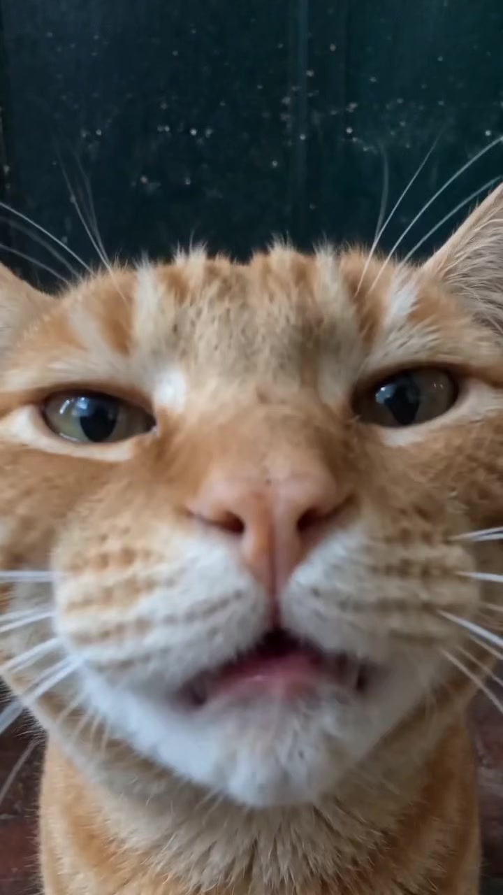@EXE
