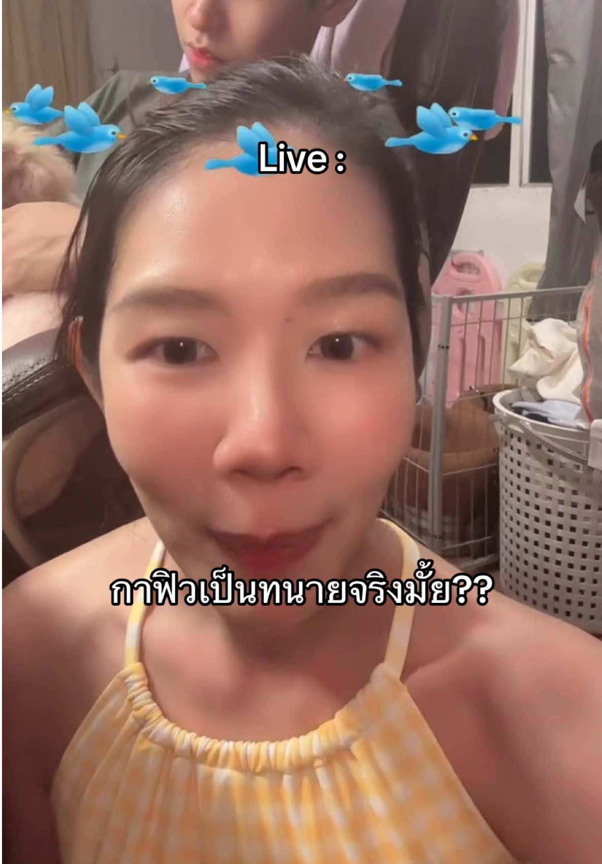 @กาฟิวจะเป็นตัวเอง