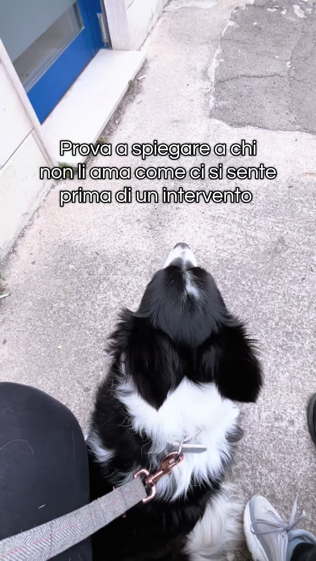 @𝓖𝓻𝓪𝓩𝓸𝓮 🫧