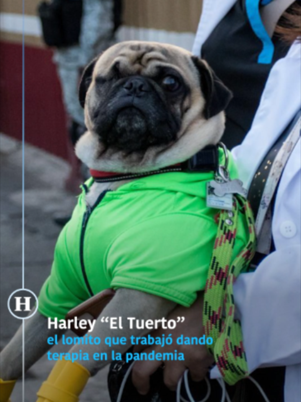@elheraldodemexico