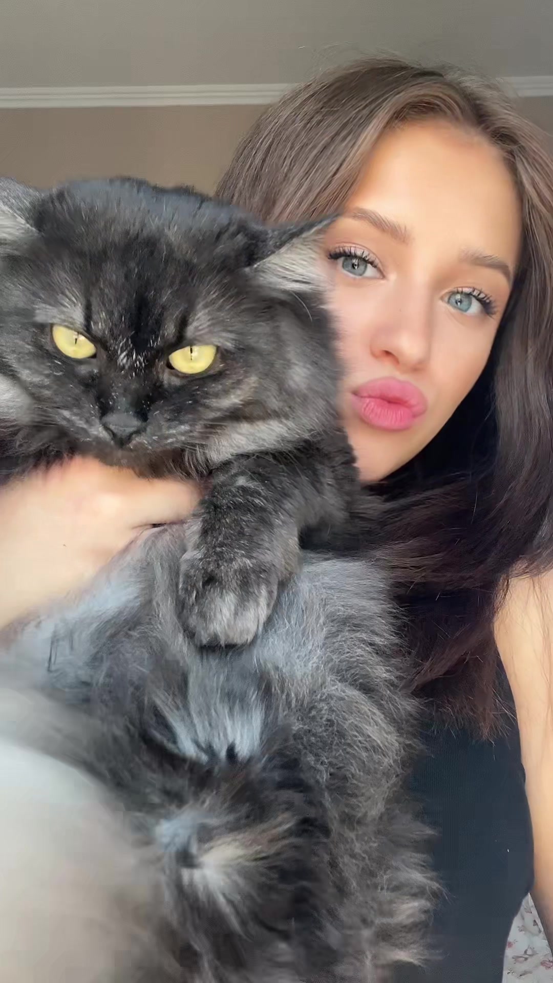 @тгк:anevixx