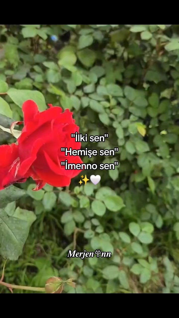 @𝑴𝒆𝒓𝒋𝒆𝒏𖣂𝒏𝒏