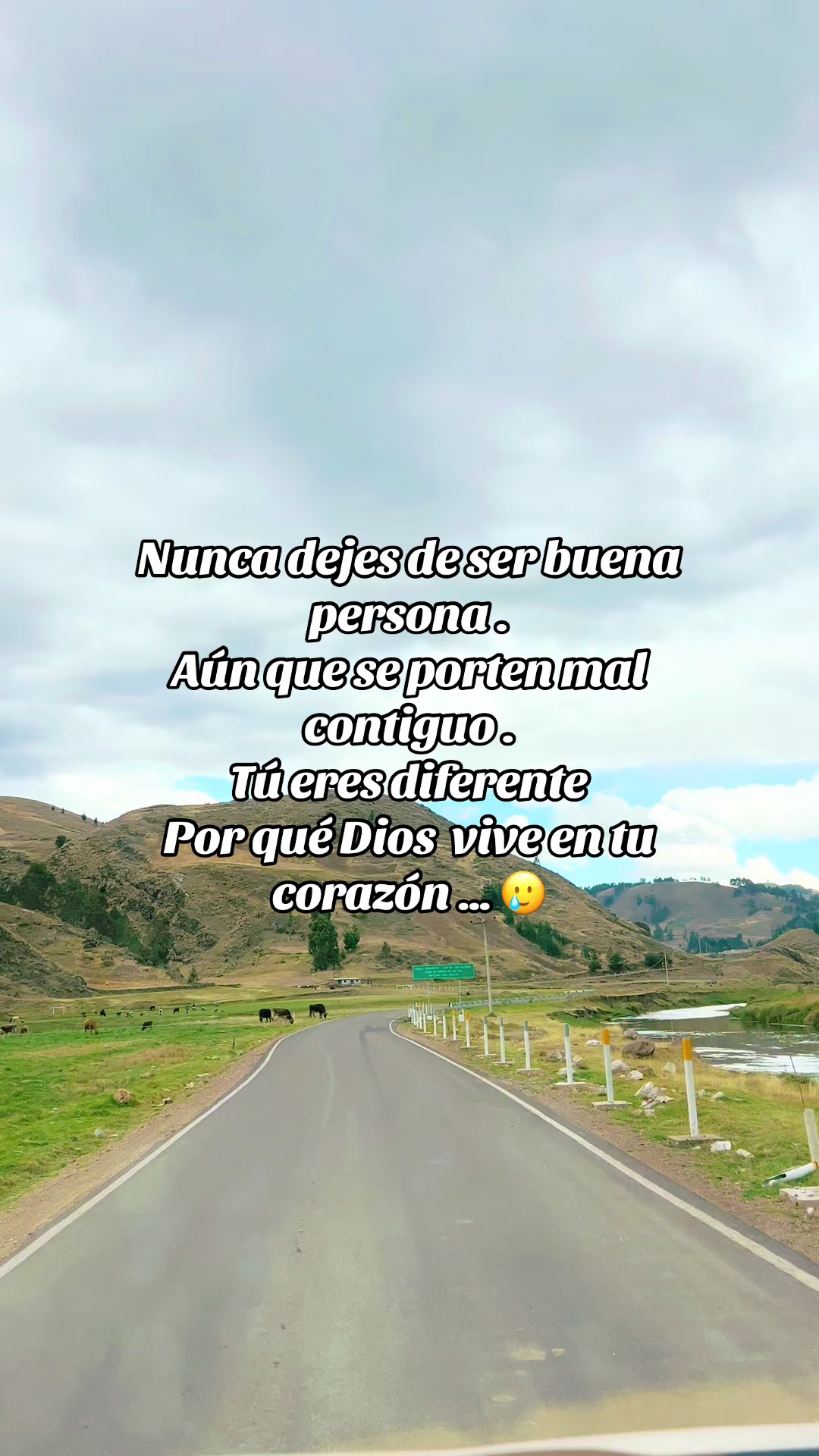 @AYSEL 🎤 🇵🇪🪷