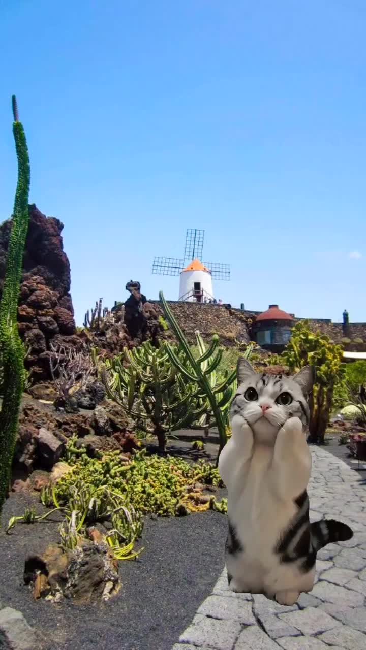 @Florencio Pérez