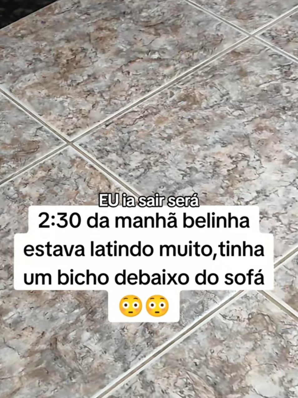 @Belinha e tiamara