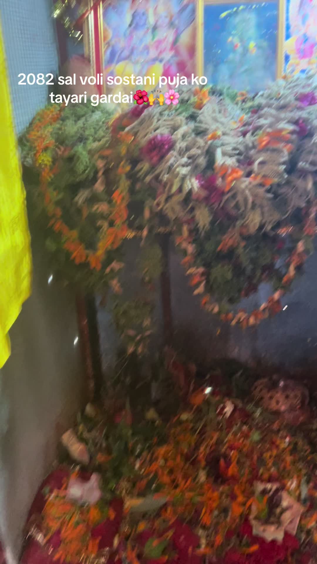 @Dil Kumari Pun