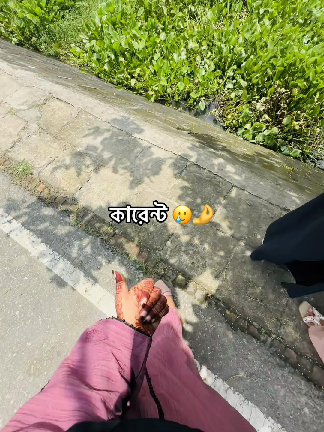 @🕊️