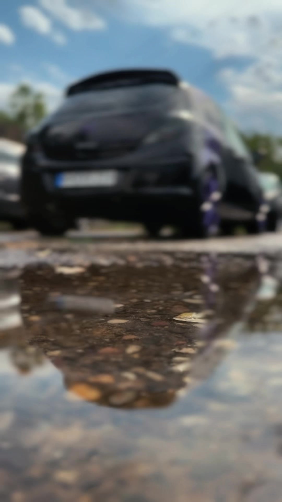 @black_purple_corsa
