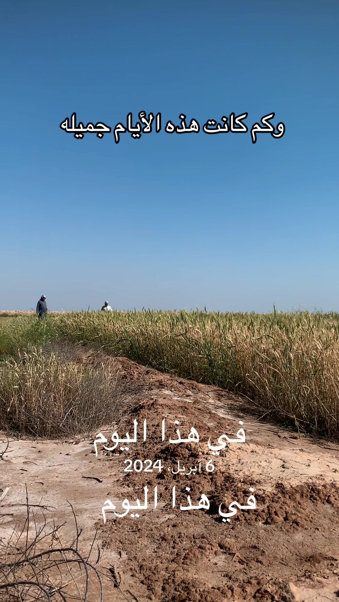 @أحمد أبو علي